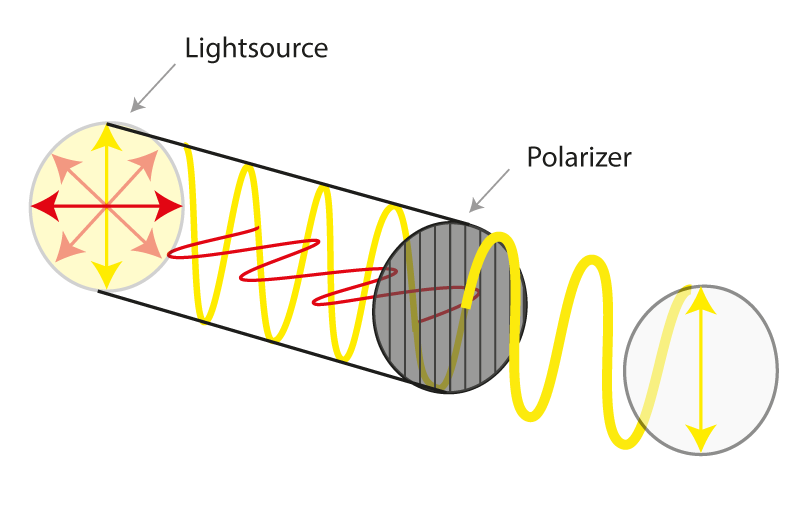 Anordnung Polfilter